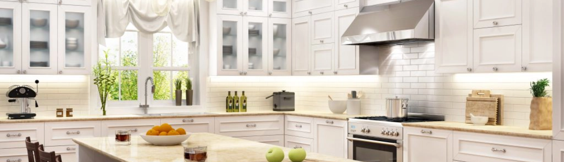 Spider Pest Control services in Ringwood